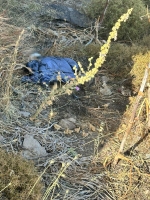 Bodrum'da dağlık alanda insan iskeleti bulundu